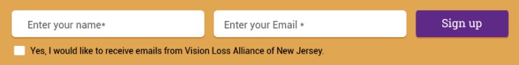 This is a dummy newsletter section