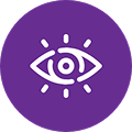 vision icon